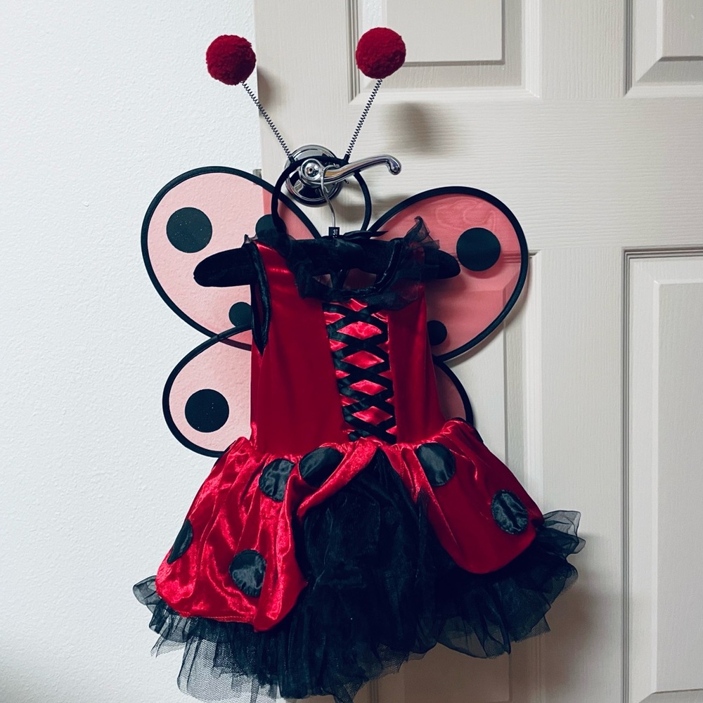 Girls Ladybug Costume